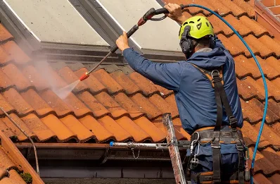 Démoussage et hydrofuge de toiture à Mézilles